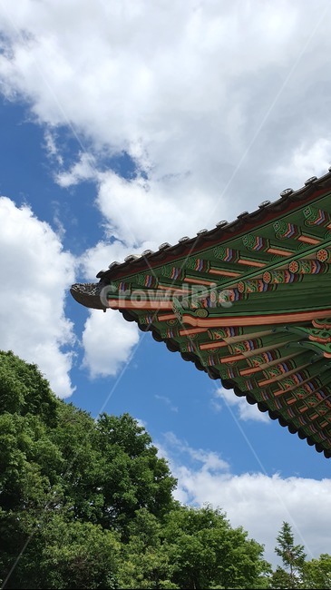 신사,temple,architecture,건축물,building,건물,하늘,sky