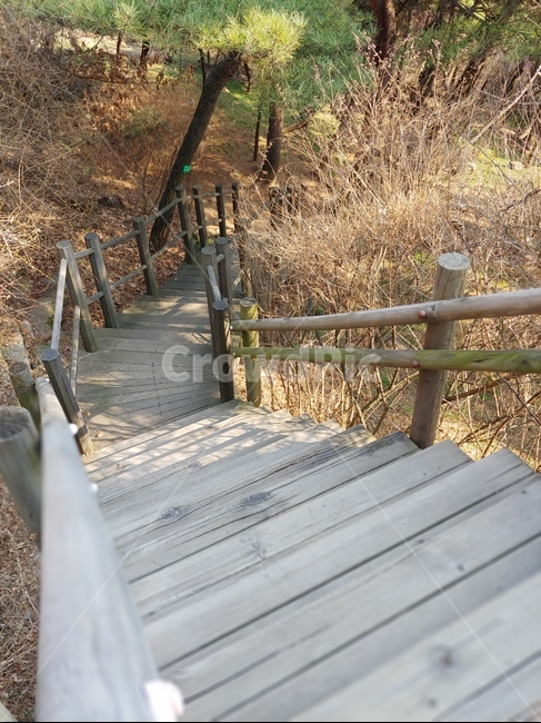 풍경,계단,남산,길,나무,숲속,감성,자연,풍경,nature,landscape,building,건물,handrail,난간,banister,boardwalk,산책로,bridge,다리