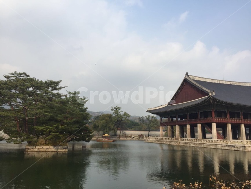 건축물,경회루,경복궁,나무,물