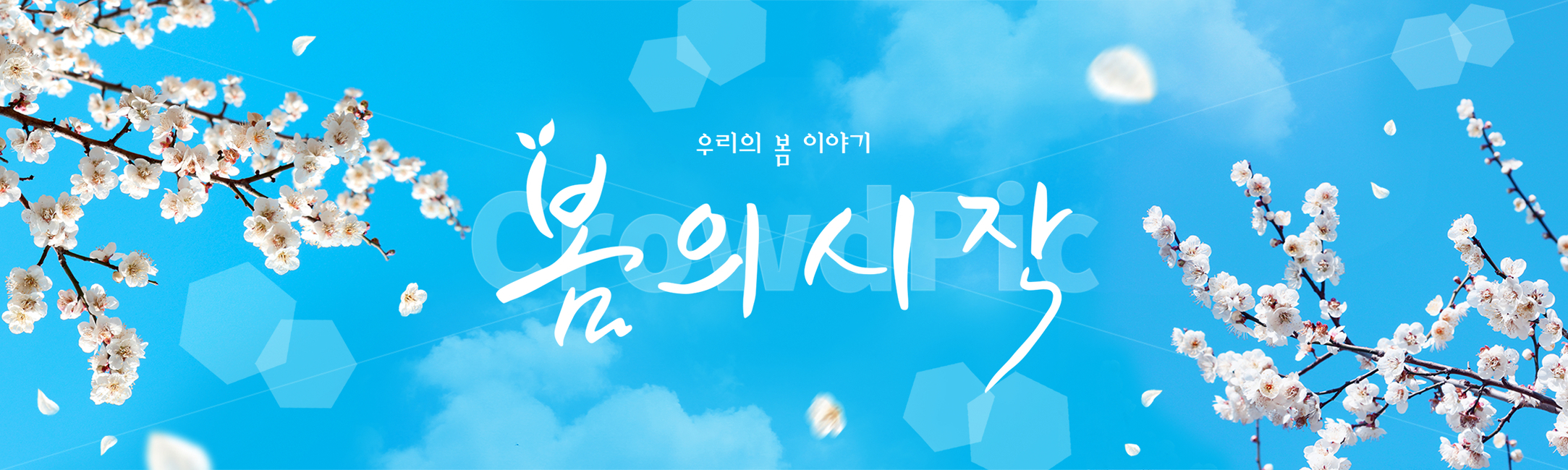 시즌,계절,봄,캘리그라피,캘리,손글씨,편집,배너,웹소스,소스,모바일,팝업,붓글씨,한글,꽃,배경,백그라운드,매화,매화꽃,하늘,구름,봄,계절,spring,season,캘리그라피,손글씨,calligraphy
