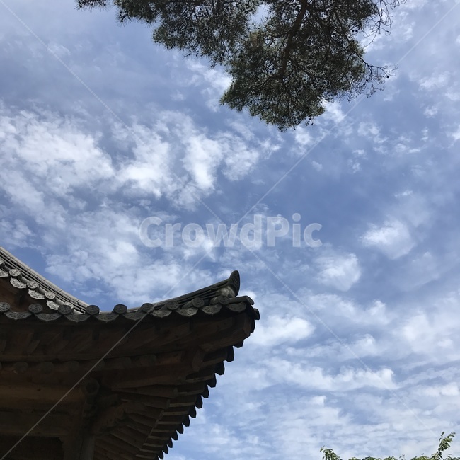 한국,전통,하늘,구름,가을