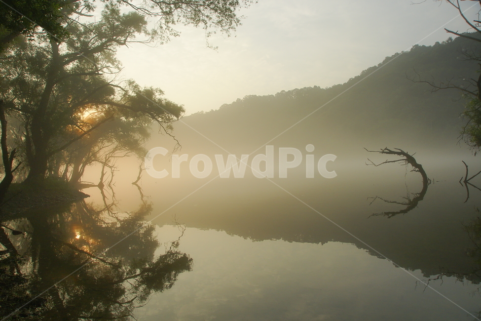물안개,금강,대청댐,신선한아침,나무,자연,풍경,nature,landscape,한국자연풍경,한국자연경관,korea nature landscape,weather,날씨,outdoors,옥외,fog,안개,mist