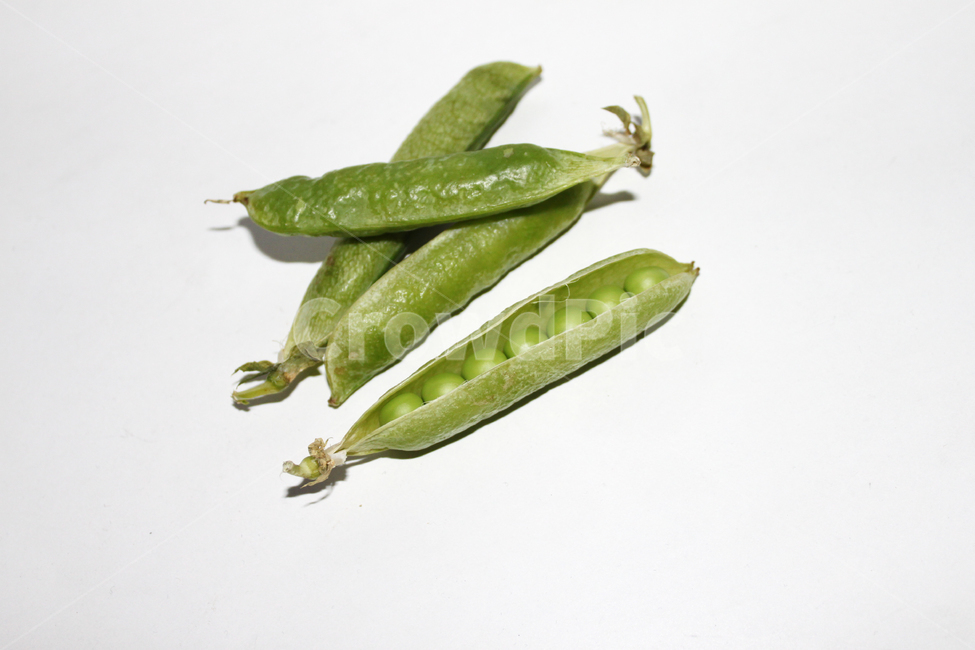 plant,식물,food,음식,pea,완두콩,vegetable,야채,콩깍지