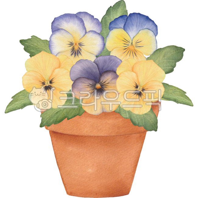 Pansy,pansy flower,flower pot,flower pot,flower,pansy design,floral,floral design,pansy drawing,pansy illustration,pansy watercolor,pansy decoration,flower illustration,flower watercolor,pansy drawing,flower drawing,pansy hand drawing,flo