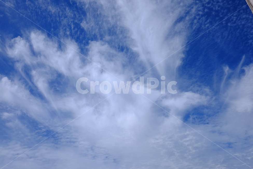 하늘,맑은하늘,구름,푸른하늘,파란하늘,흰구름,nature,자연,outdoors,옥외,azuresky,sky