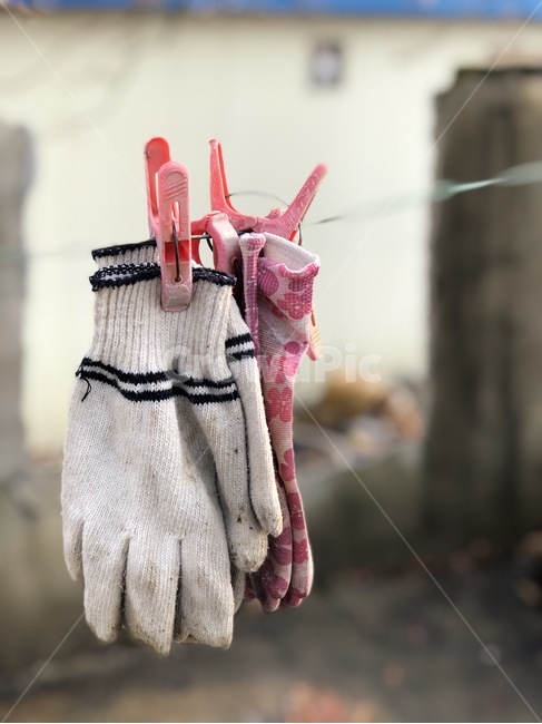 장갑,시골,겨울,농업용장갑,빨래,사물,물건,오브젝트,thing,object,matter