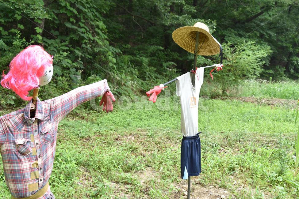 허수아비,밭,이야기,논,농사,마네킹,인형,역동적,자연,스토리,상상력