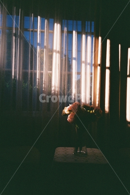 빛,꽃,flower,interior,인테리어,필름,필름사진,집,커튼,플로리스트,인테리어,실내디자인,interior design