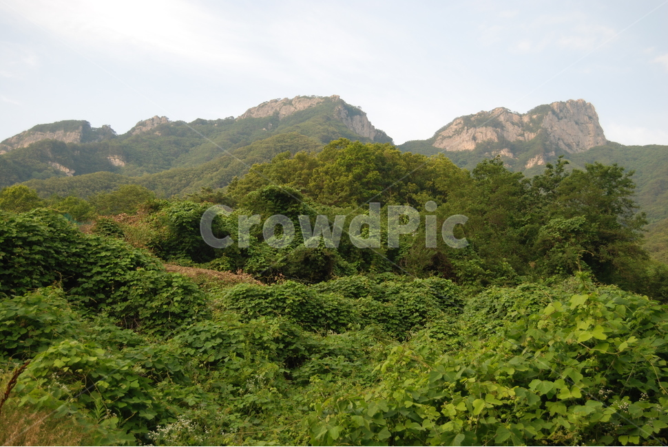 월악산,명산,등산로,계절,자연,자연,풍경,nature,landscape,한국자연풍경,한국자연경관,korea nature landscape,outdoors,옥외,hill,언덕