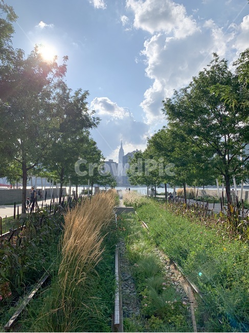 뉴욕,맨하탄,newyork,manhattan,미국,usa,자연,풍경,nature,landscape