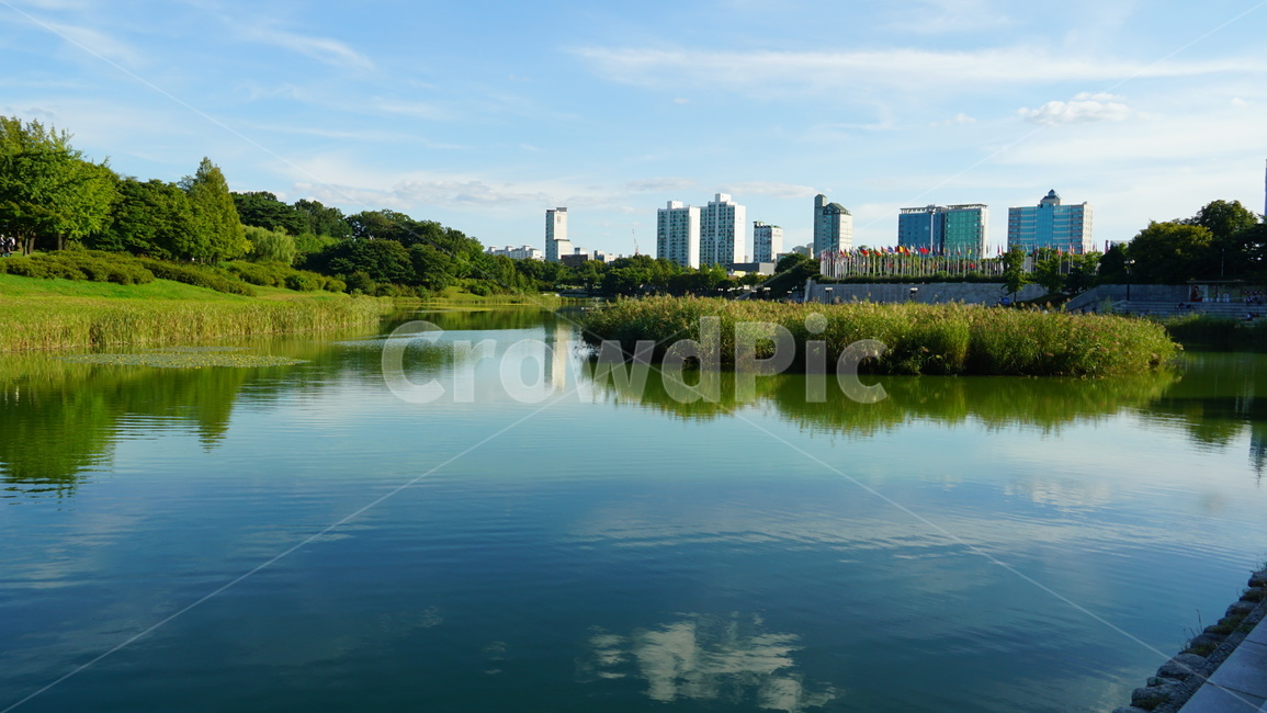 공원,나무,하늘,구름,풍경,도시,풍경,city,landscape,한국도시풍경,한국도시경관,korea cityscape,water,물,nature,자연,outdoors,옥외