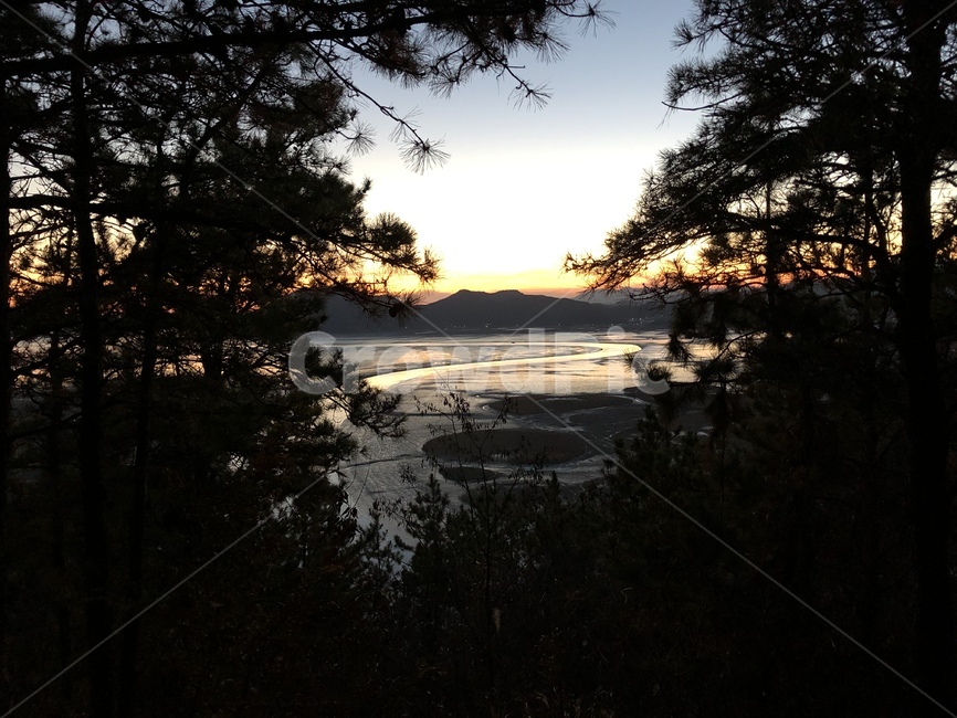 nature,자연,outdoors,옥외,plant,식물,tree,나무,순천만,습지,s자물길,dusk,자연,풍경,nature,landscape