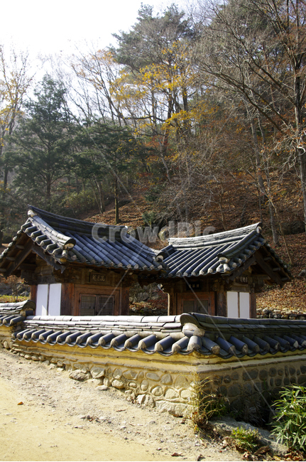 전통,기와지붕,건축,한국,전통건축,한국전통,한국문화,korean traditional,korean culture,건축물,건물외관,exterior,building,structure,architecture,construction