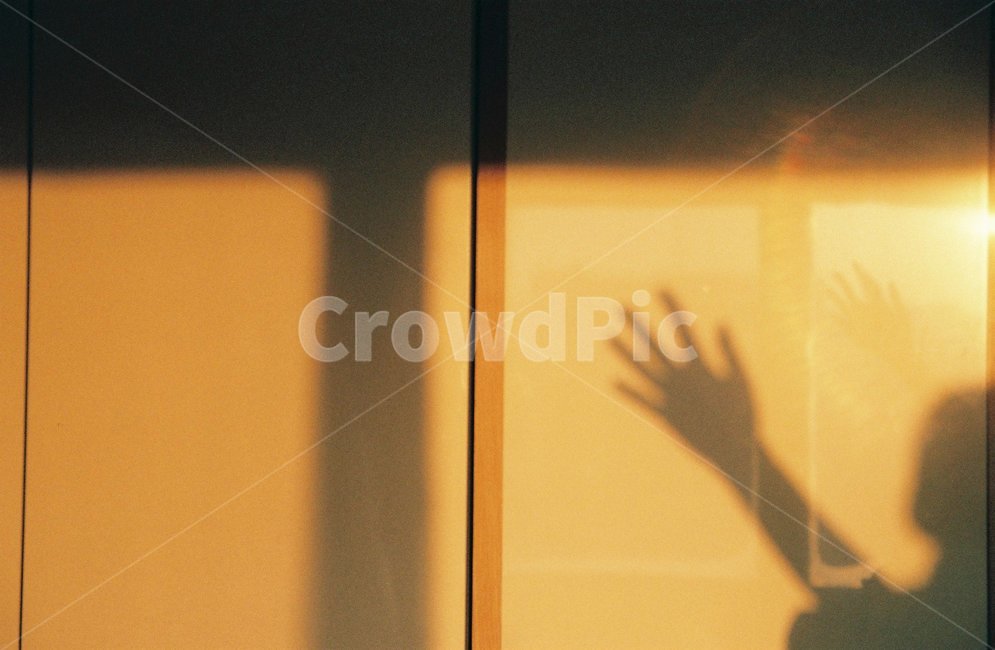 노을,손,그림자,손가락,실내