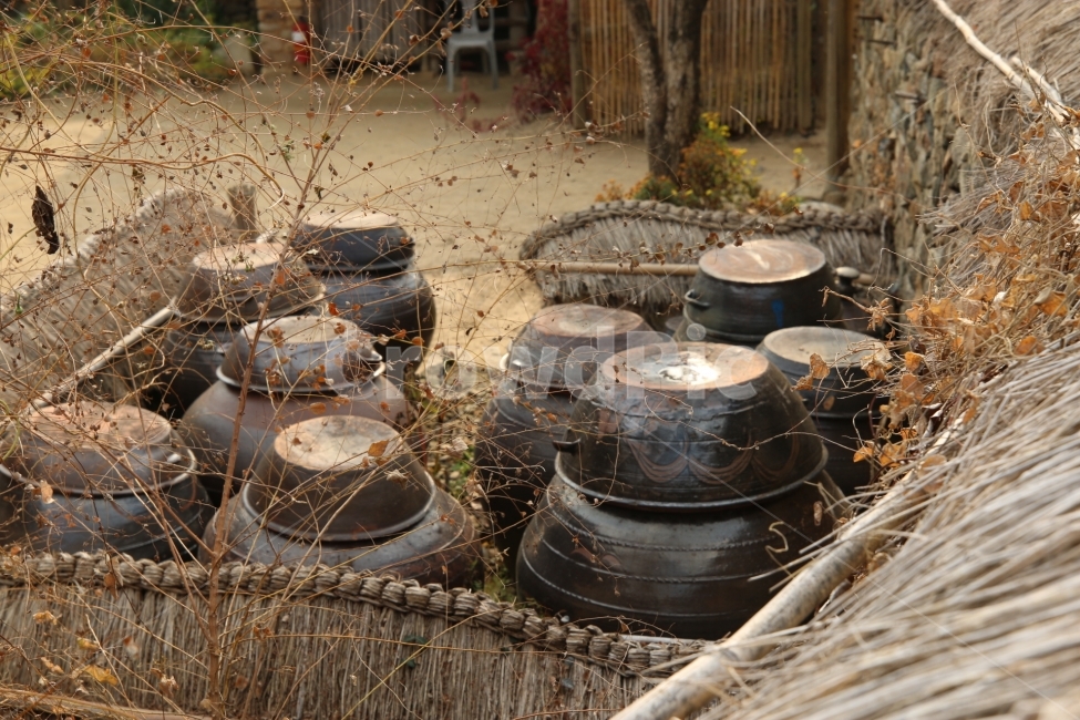 시골,담장,장독대,가을,고향,시골,마을,풍경,landscape,country,rural,town,한국전통,한국문화,korean traditional,korean culture