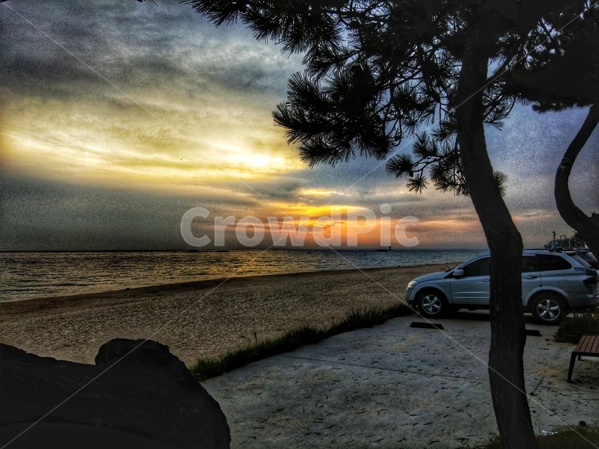 일출,노을,아침,바다,해변,sun,coast,morning,sunrising,소나무,수평선,구름,해안,태양,붉은색,노란색,풍경,landscape,sunrise,cloud,sky,outdoor,여명,하늘,야외,자연,풍경,nature,landscape,automobile,자동차,car,차,vehicle,차량,transportation,교통