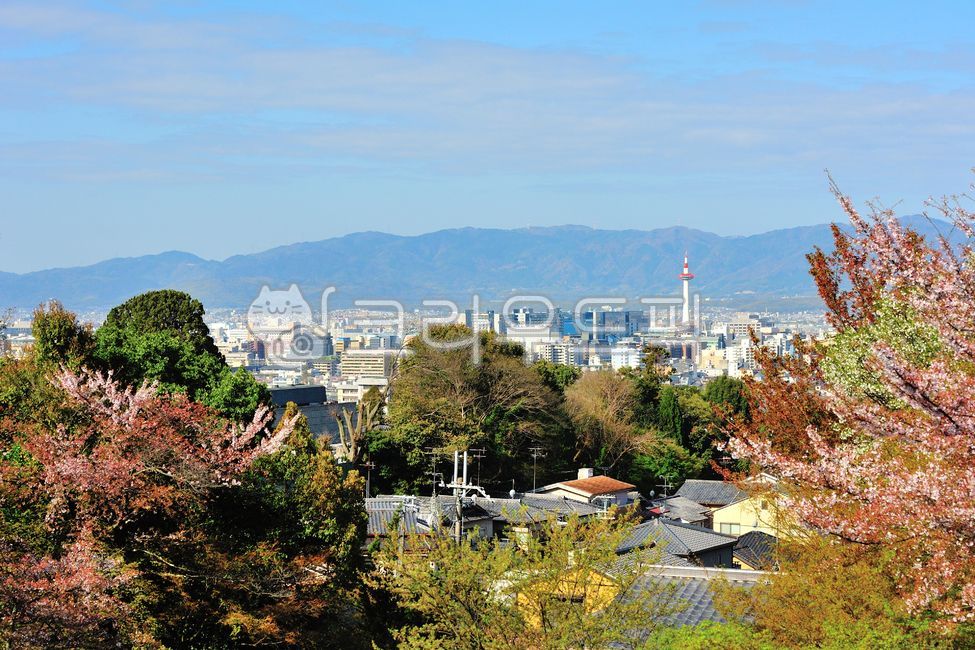 교토,교토타워,시티뷰,타워,랜드마크,도시,city,kyoto,tower,건물,건축물,빌딩,빌딩숲