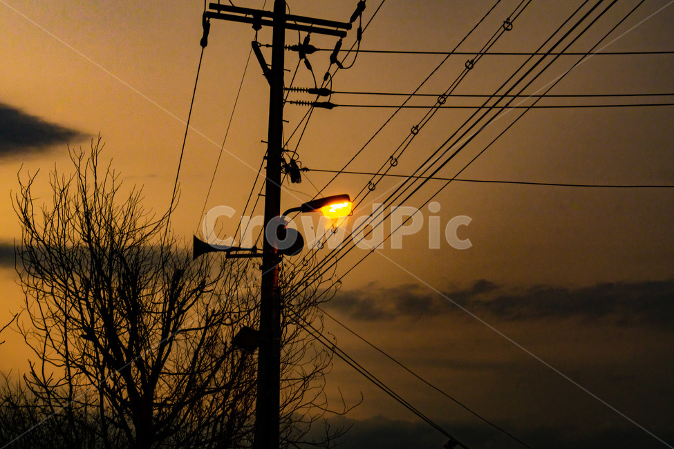 가로등,저녁,감성,풍경,노을,야경,밤,풍경,nightscape,night,landscape
