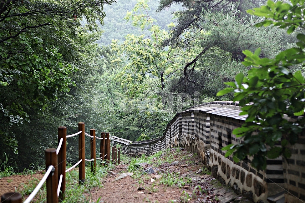 남한산성,성곽,돌담,둘레길,안개,숲길,숲,길,담