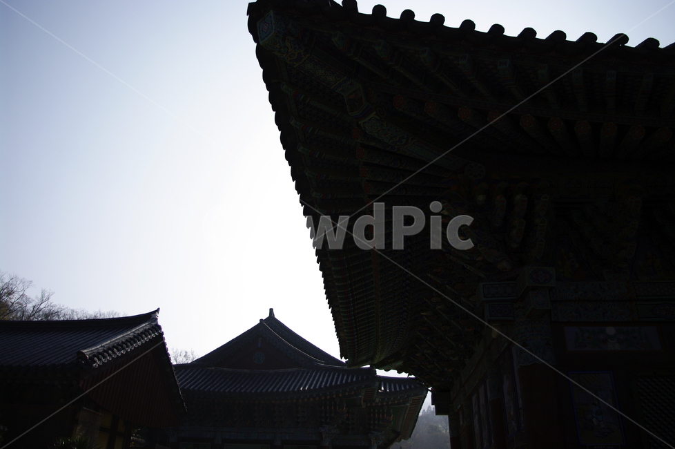 전각,사찰,전통,기와지붕,지붕,한국전통,한국문화,korean traditional,korean culture,건축물,건물외관,exterior,building,structure,architecture,construction