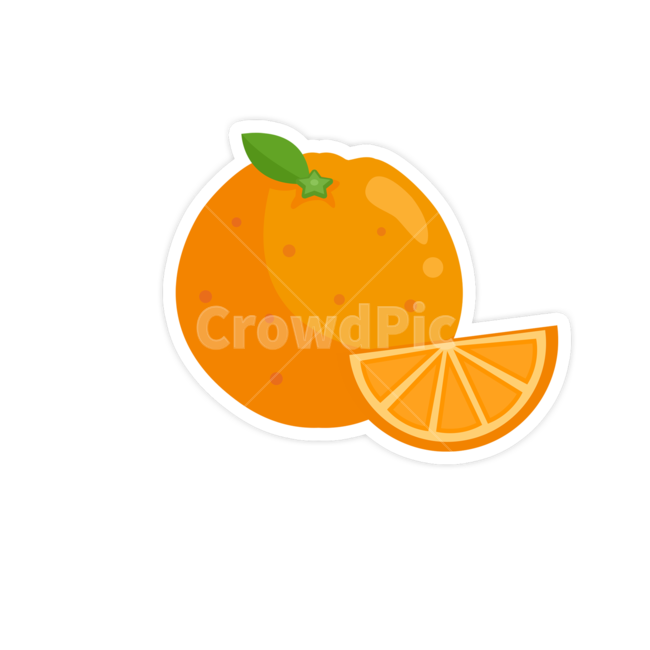 fruit,과일,citrusfruit,감귤류과일,orange,음식,food,식물,plant,주황색,오렌지,그래픽,일러스트레이션,graphic,illustration