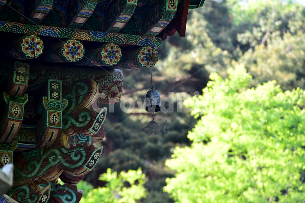 처마,지붕,절,사찰,화려한,roof,temple