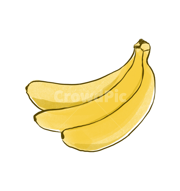 banana,바나나,fruit,과일,food,식물,plant,음식,바나나일러스트,과일일러스트,과일,열매,fruit,그래픽,일러스트레이션,graphic,illustration