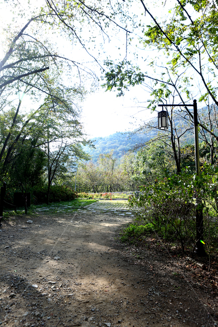 road,가로등,승학산,사하구,길,그림자,자연,풍경,nature,landscape