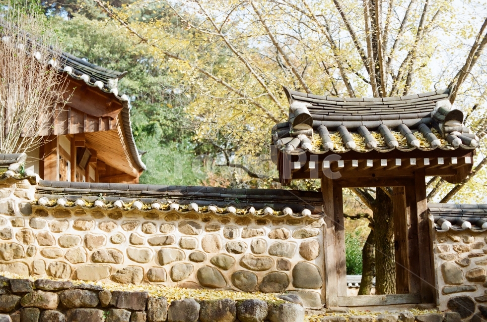 가을,담양,소쇄원,식영정,풍경사진,landscape,출사,가을풍경,단풍,은행,감성,쓸쓸함,필름사진,필름,기와,문,담벼락,한국전통,한국문화,korean traditional,korean culture,건축물,건물외관,exterior,building,structure,architecture,construction