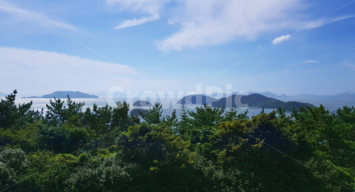 nature,자연,tree,나무,바다풍경,섬풍경,outdoors,옥외