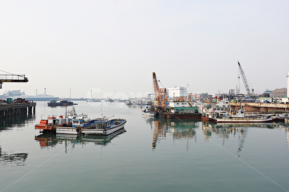 배,어선,선박,고기잡이배,어업,자연,풍경,바다,항구
