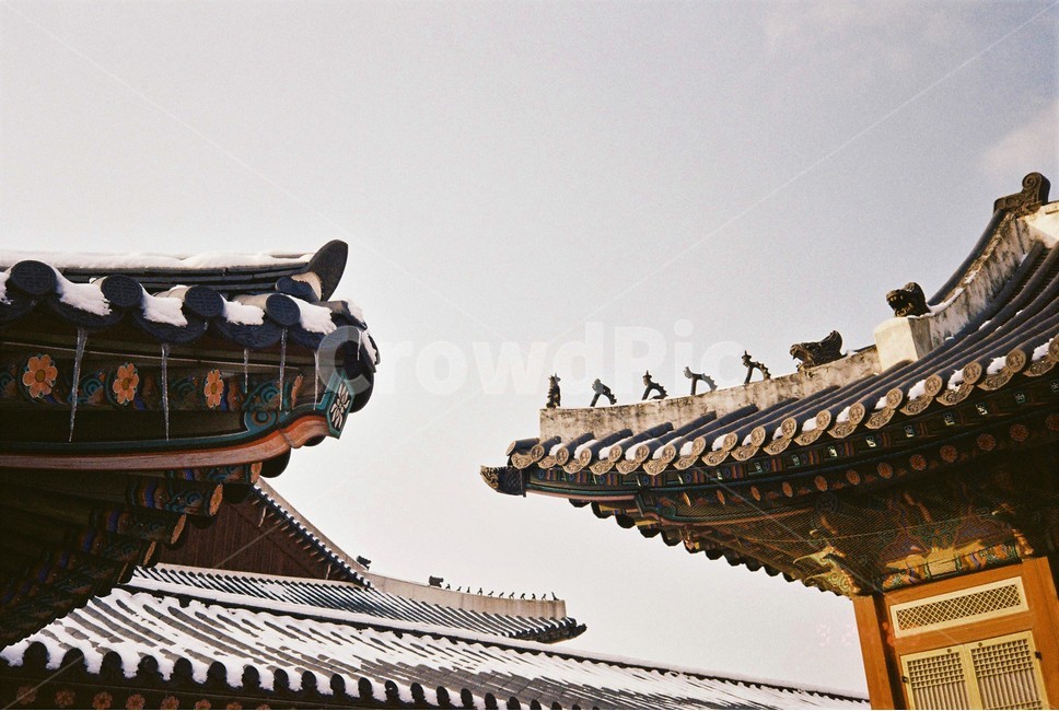 어처구니,잡상,한옥,지붕,필름사진,한국,건축물,궁,경복궁,한국전통,한국문화,korean traditional,korean culture,건축물,건물외관,exterior,building,structure,architecture,construction