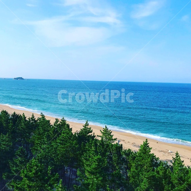 바다,해수욕장,풍경,대자연,조화로움,자연,풍경,nature,landscape,해변,바다,beach,sea,tree,나무,plant,식물