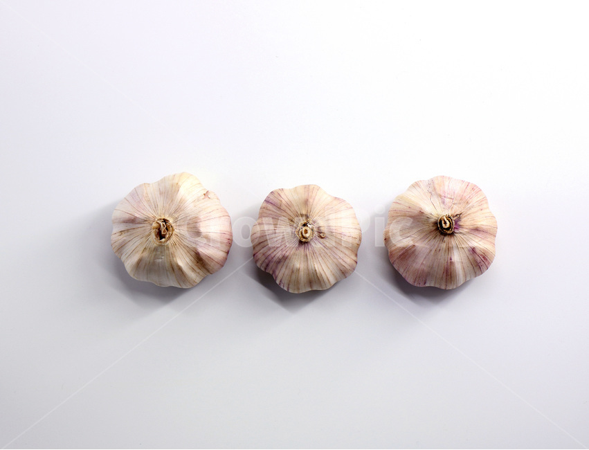 사진,누끼,마늘,야채,채소,햇마늘,육쪽마늘,갈릭,통마늘,재료,식자재,garlic,wholegarlic,vegetable,food,음식,식재료,요리,food,cook,meal,dishes,food reserves,채소,야채,vegetables,누끼,remove background