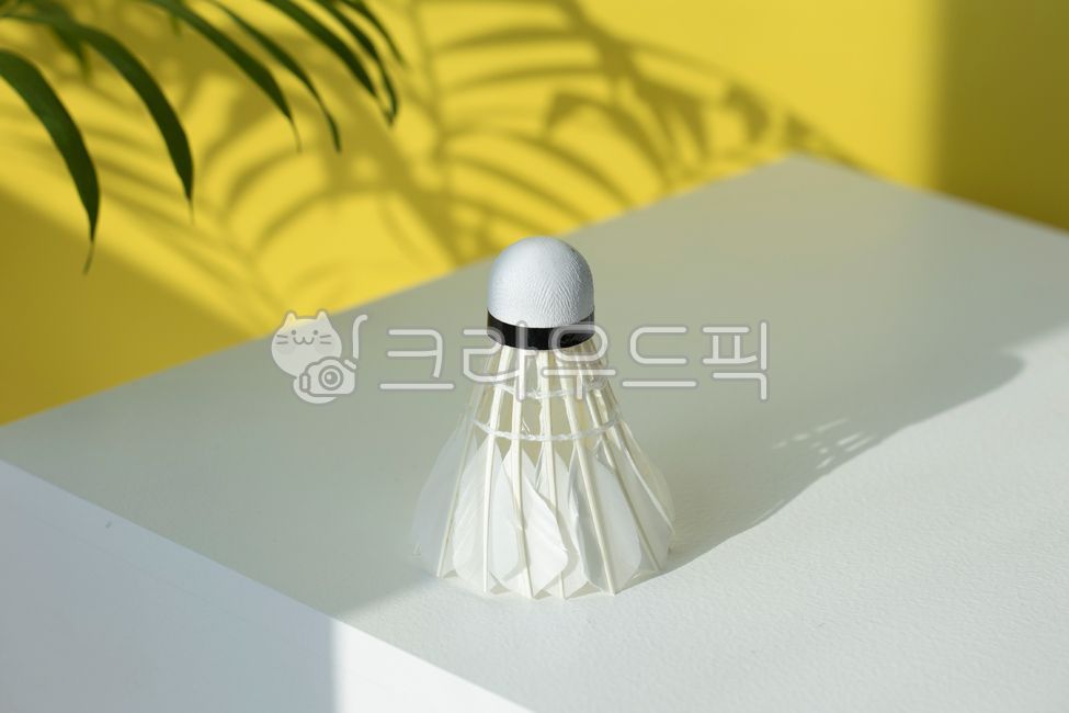 shuttlecock,ball,badminton ball,sports,badminton,exercise,cock,leisure,hobby,object