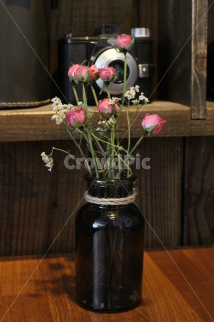 화병,꽃병,꽃,flower,장식,인테리어,빈티지,식물,자연,plants,nature,꽃,flower,실내용화초,화분,화초,house plant,인테리어,실내디자인,interior design