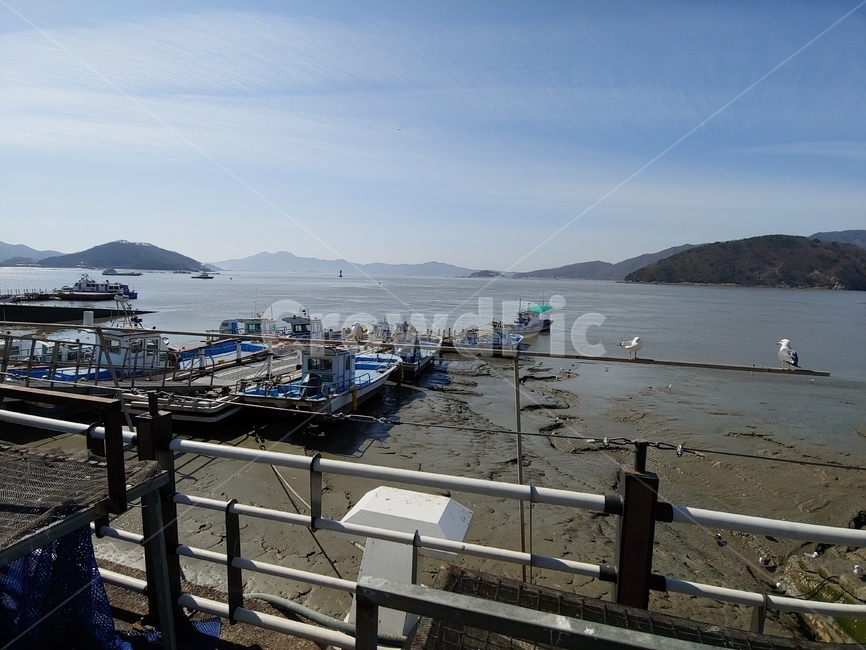 강화도,외포항,갈매기,선박,바다,갯벌,포구,섬,수평선,겨울,산업,industry,industrial,어업,fishery,fishing industry