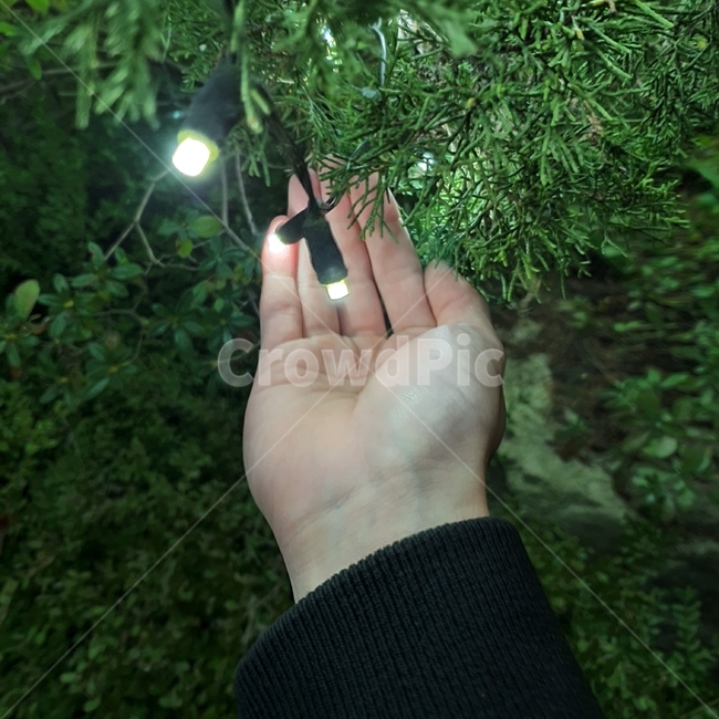 감성,빛,전구,손,밝은,초록,인간,사람