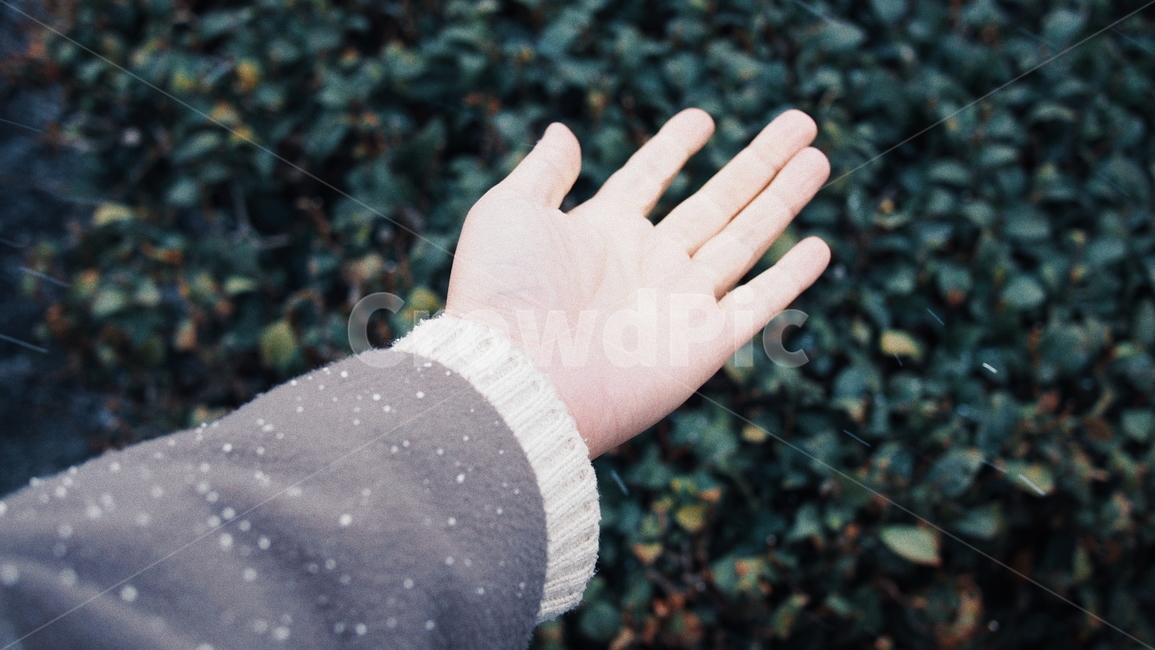겨울,눈,계절,날씨,손,겨울,계절,winter,season,사람,인물,인간,human,person,신체일부,몸,body