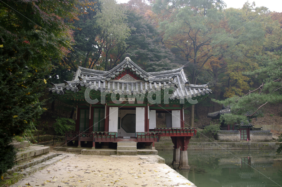 창덕궁후원,부용정,고궁,건축,전통건축,traditional,전통,기와지붕,가을,fall,나무,식물,plant,단풍,잎,낙엽,가을,계절,fall,autumn,season,한국전통,한국문화,korean traditional,korean culture,랜드마크,landmark,tourist attraction,한국랜드마크,한국관광지,한국명소,korea landmark,korea tourist attraction,건축물,건물외관,exterior,building,structure,architecture,construction,건물,temple,신전