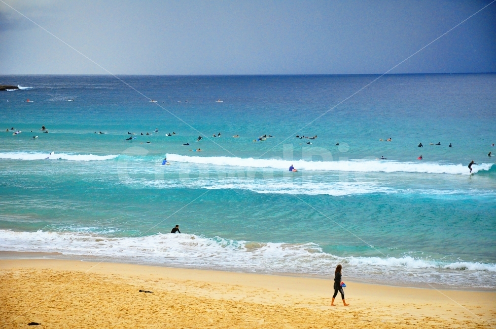 호주,시드니,본다이비치,바다,해변,모래,서핑,서퍼,사람들,여행,파도,australia,sydney,bondibeach,beach,sea,water,sand,land,sufer,surfing,waves,people,holiday,자연,풍경,nature,landscape,여름,계절,summer,season,해변,바다,beach,sea,여행,휴가,traveling,vacation,trip,해외,외국,세계,foreign,oversea,world,사람,인물,인간,human,person,ocean,대양,outdoors,옥외,물,shoreline,해안선