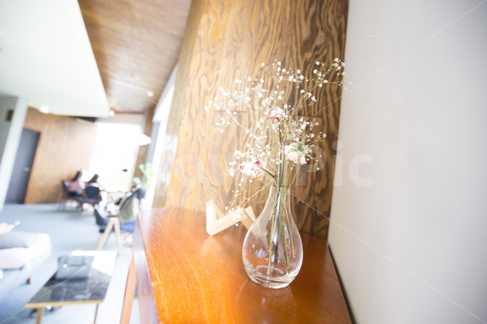 카페,카페인테리어,카페감성,감성,헐레이션,역광,측면광,식물,자연,plants,nature,꽃,flower,인테리어,실내디자인,interior design