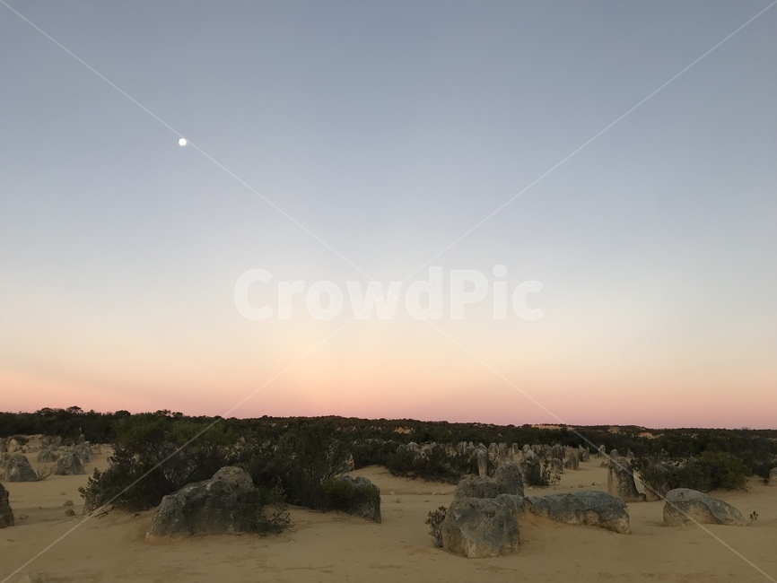 사막,desert,풍경,자연,사막풍경,사막경치,돌,피나클스,호주,호주자연,호주경치,오스트레일리아,austrailia