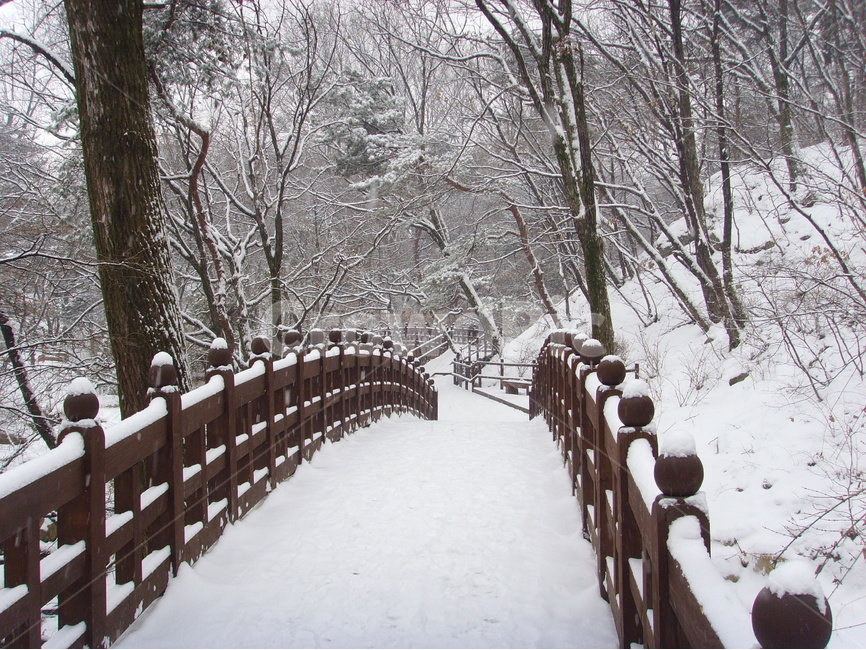 북한산,둘레길,설경,겨울,눈,다리,숲,나무,겨울,계절,winter,season,자연,풍경,nature,landscape