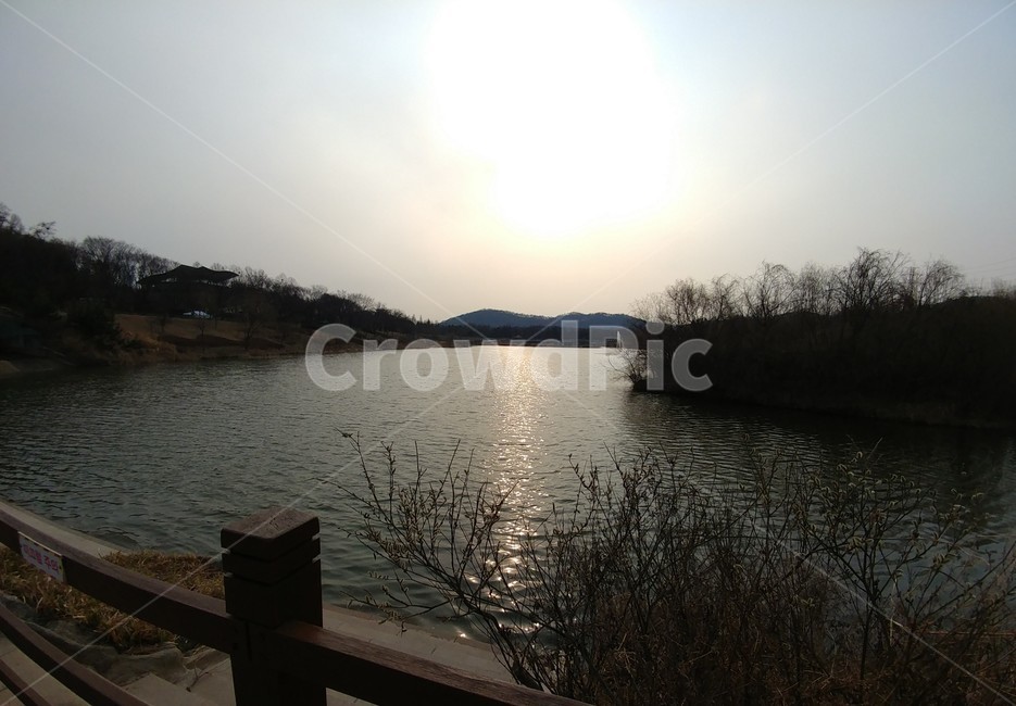 공원,하늘,빛,호수,나무