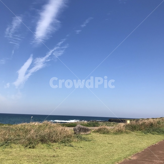 제주도,자연,nature,water,sea,바다,물,잔디,대양,자연,풍경,nature,landscape