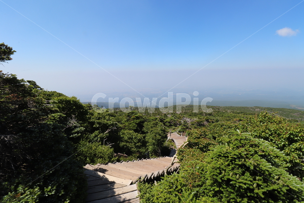 배경화면,자연풍경,경치,한라산,자연배경,등산,나무,산,등산길,제주도,한라산등산,여름,가을,하늘,자연,배경,풍경,멋진경치,nature,언덕,hill,옥외