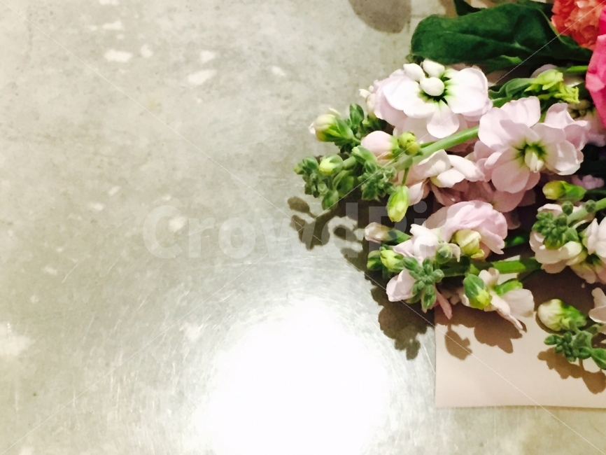 꽃,분홍색,배경,꽃다발,보라색,식물,자연,plants,nature,꽃,flower