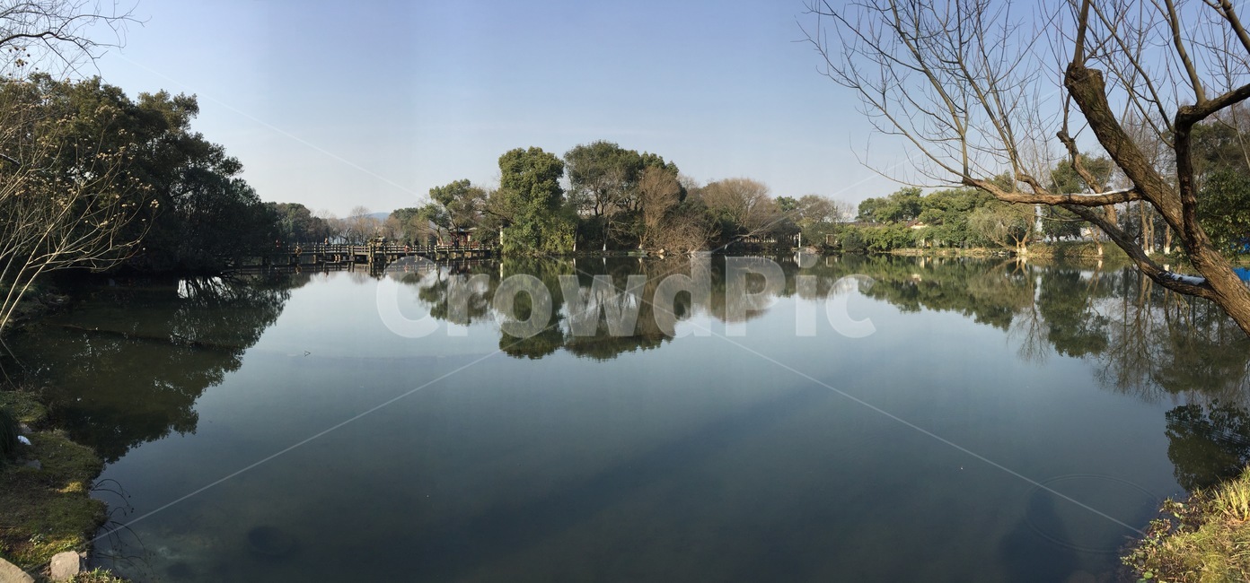 리플렉션,호수,나무,숲,공원,와이드배경
