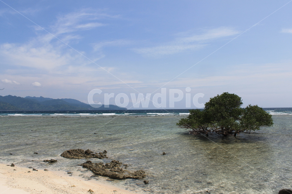 인도네시아,길리,해변,나무해변,나무,indonesia,gili,beach,treeandbeach,treeonthebeach,vacation,고즈넉